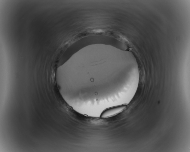 X0000086220669200704261837