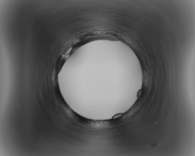 X0000086220670200704261837