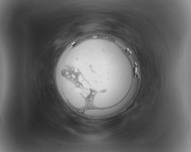 X0000086220672200704261837