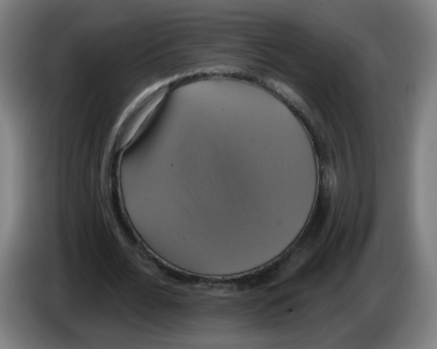 X0000086220676200704261837