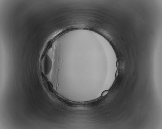 X0000086220678200704261837