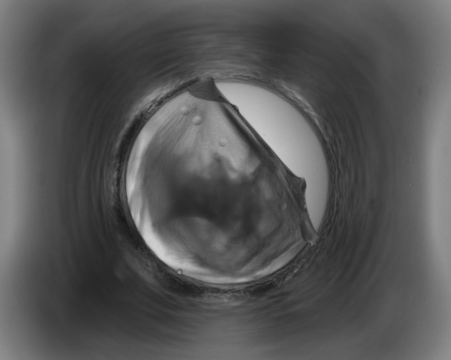 X0000086220679200704261837