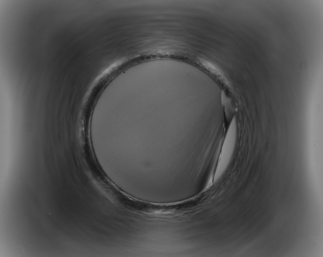 X0000086220680200704261837