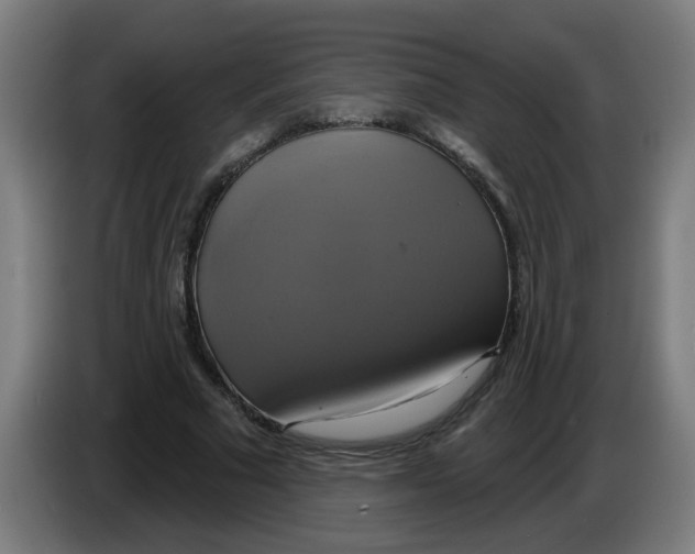 X0000086220681200704261837