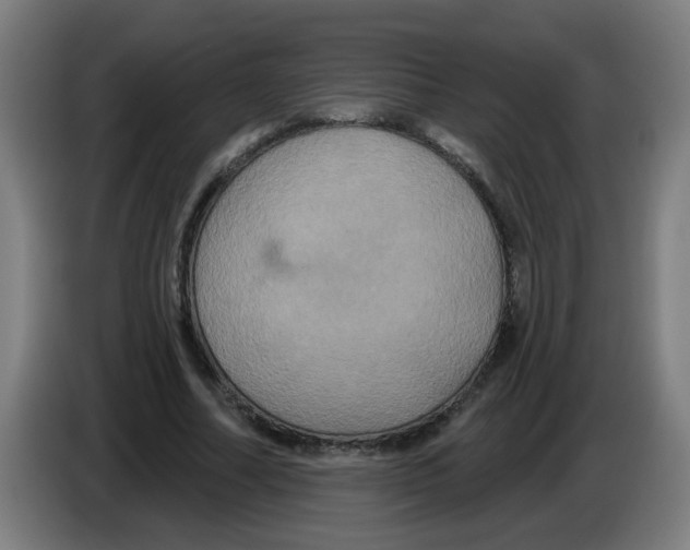 X0000086220682200704261837