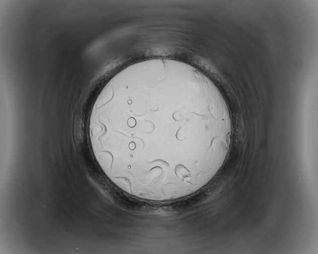 X0000086220683200704261837