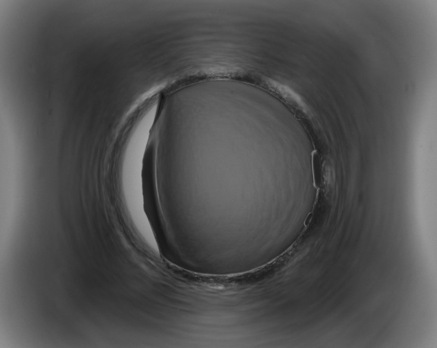 X0000086220684200704261837