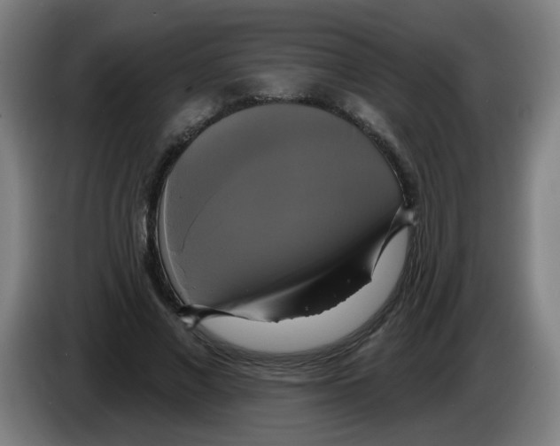 X0000086220685200704261837