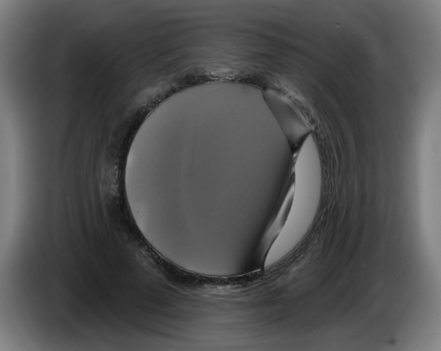 X0000086220689200704261837