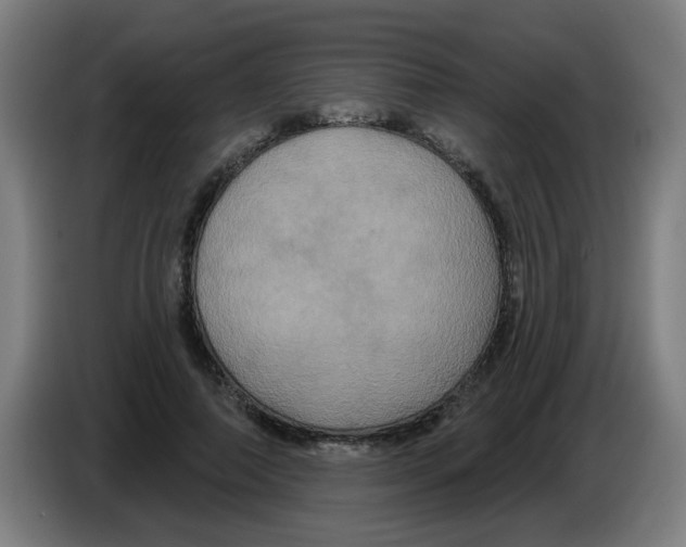 X0000086220690200704261837