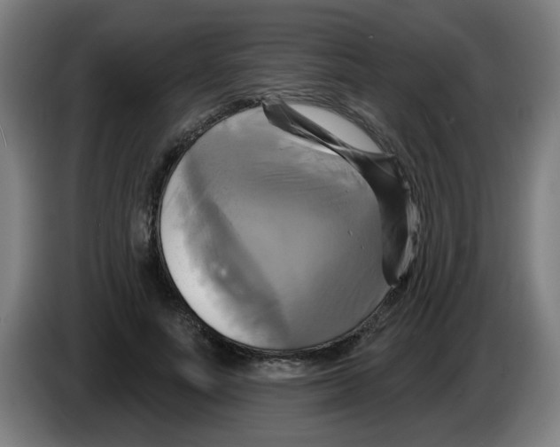 X0000086220691200704261837