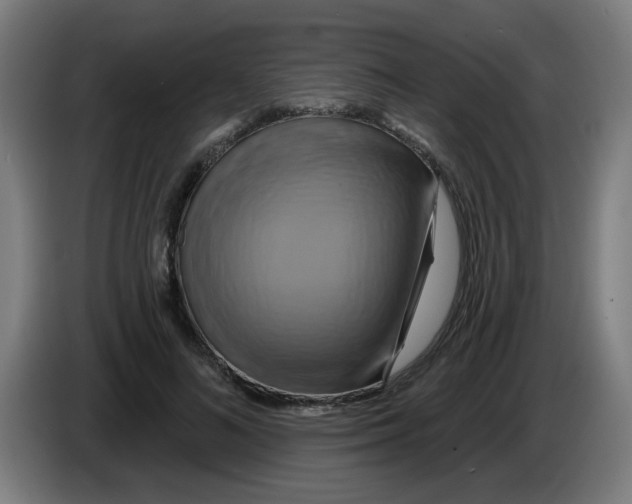 X0000086220692200704261837