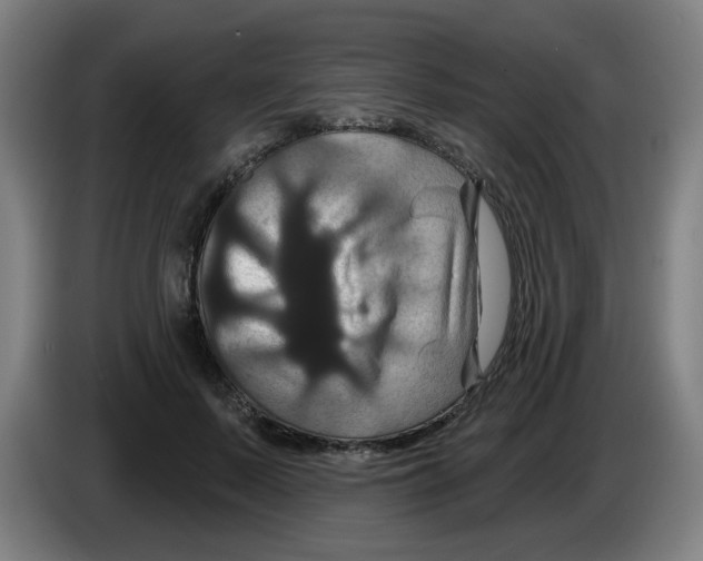 X0000086220695200704261836