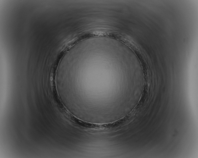 X0000086220696200704261836