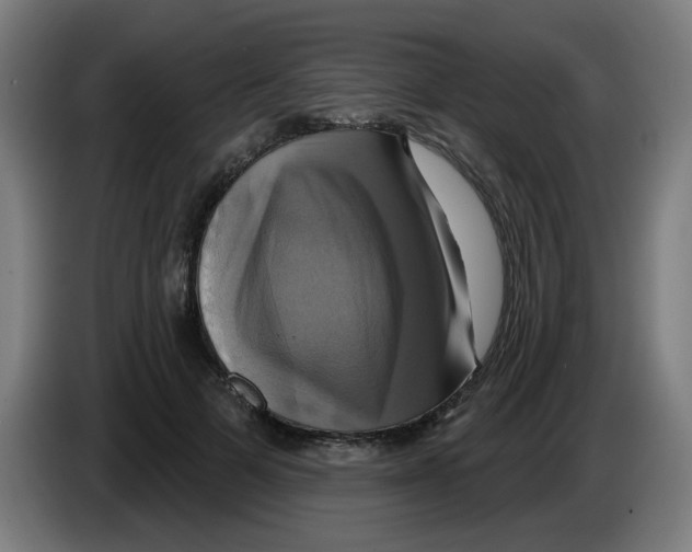 X0000086220697200704261836