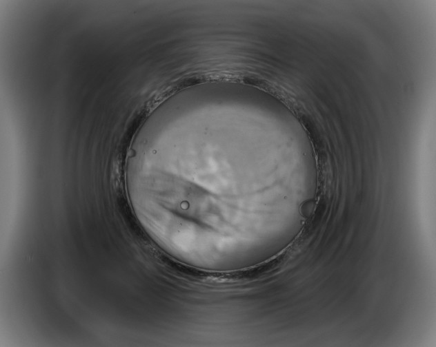 X0000086220699200704261836