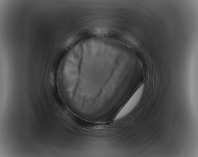 X0000086220700200704261836