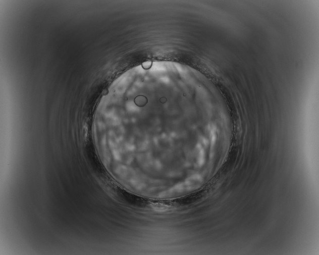 X0000086220703200704261836