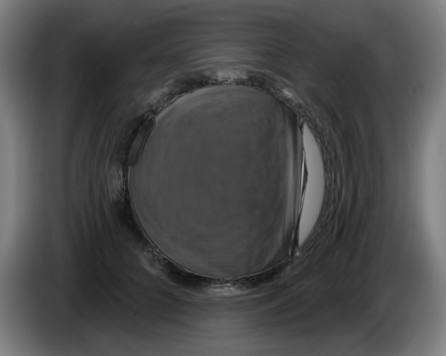 X0000086220704200704261836