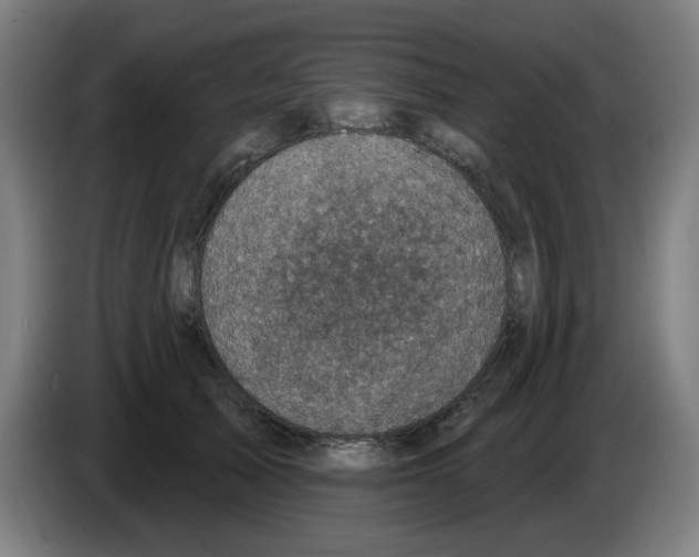 X0000086220705200704261836