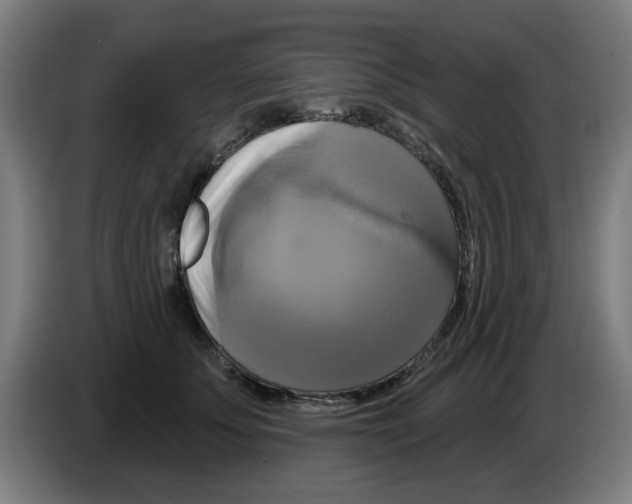 X0000086220707200704261836