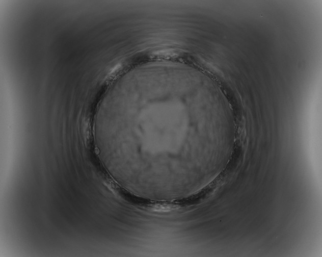 X0000086220708200704261836