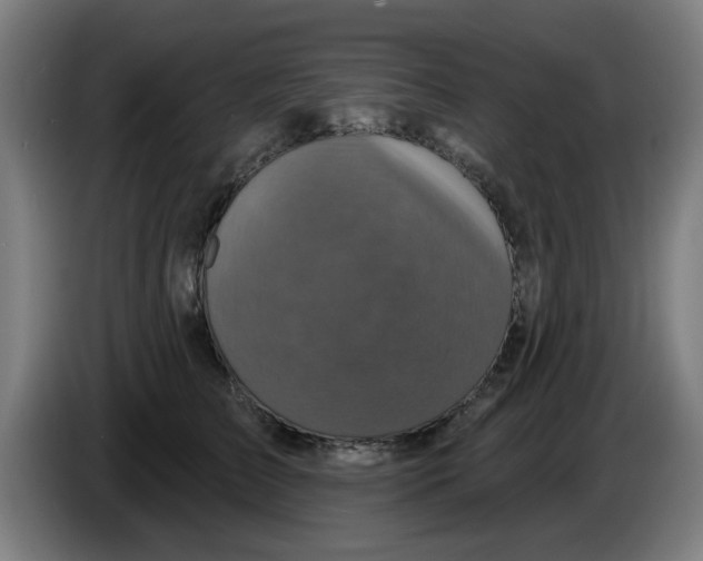 X0000086220709200704261836