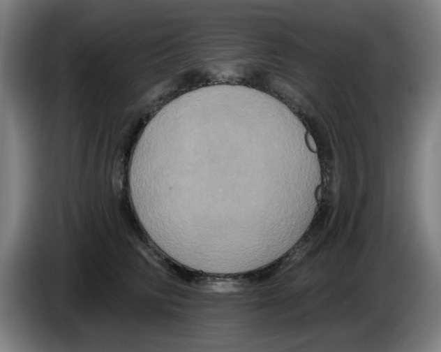 X0000086220710200704261836