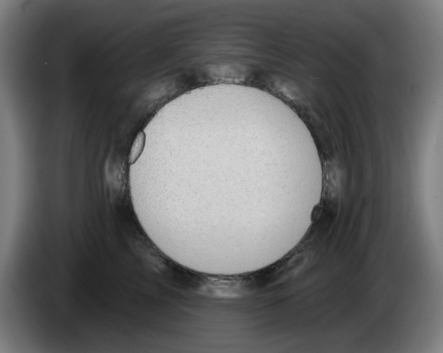 X0000086220713200704261836