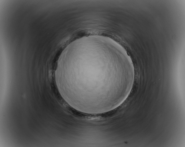 X0000086220716200704261836