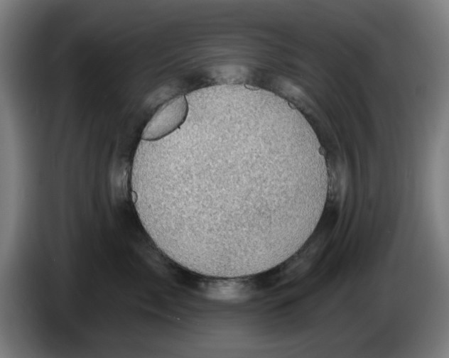 X0000086220717200704261836