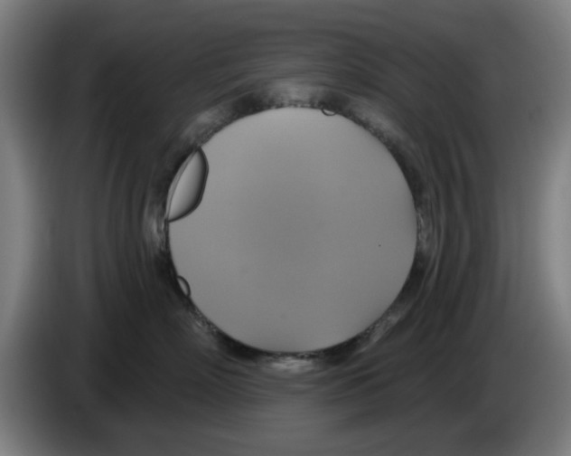 X0000086220718200704261836