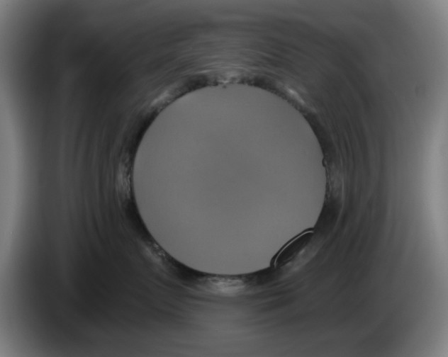 X0000086220719200704261836