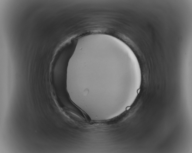 X0000086220721200704261835