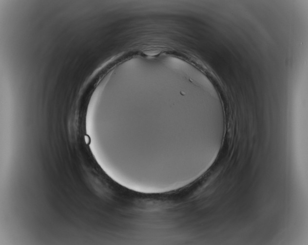 X0000086220722200704261835