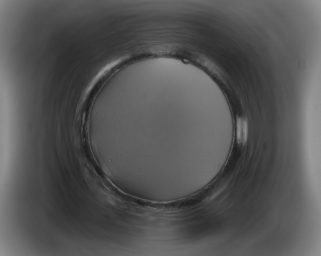 X0000086220723200704261835