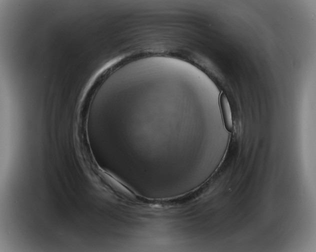 X0000086220724200704261835