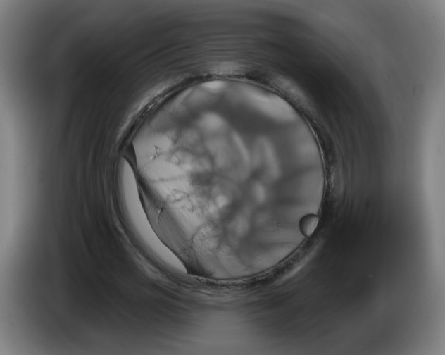 X0000086220725200704261835