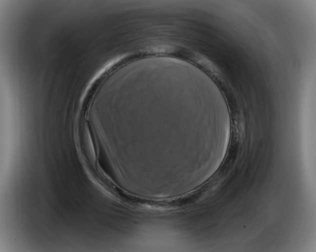 X0000086220726200704261835