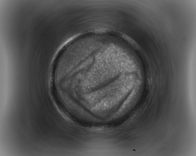 X0000086220728200704261835