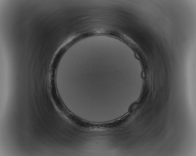 X0000086220730200704261836