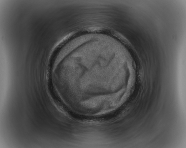 X0000086220732200704261836