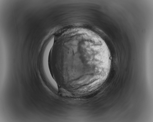 X0000086220734200704261836