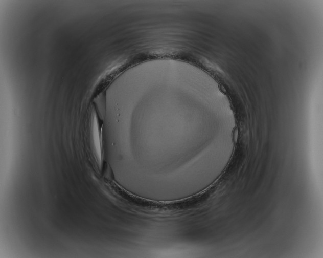 X0000086220735200704261836