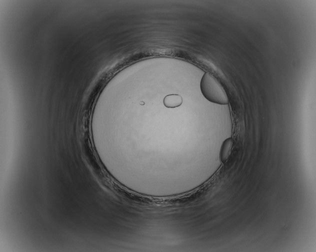 X0000086220736200704261836