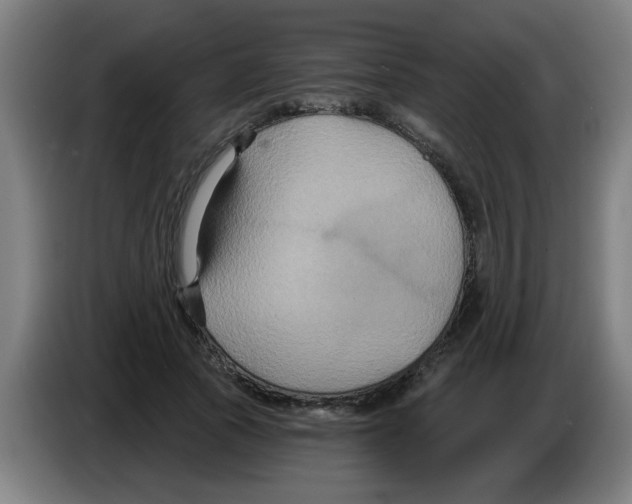 X0000086220737200704261836