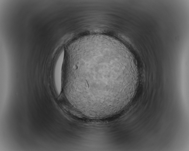 X0000086220738200704261836