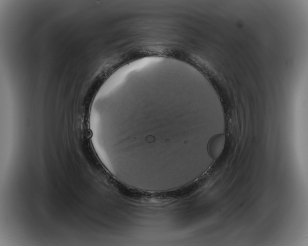 X0000086220739200704261836