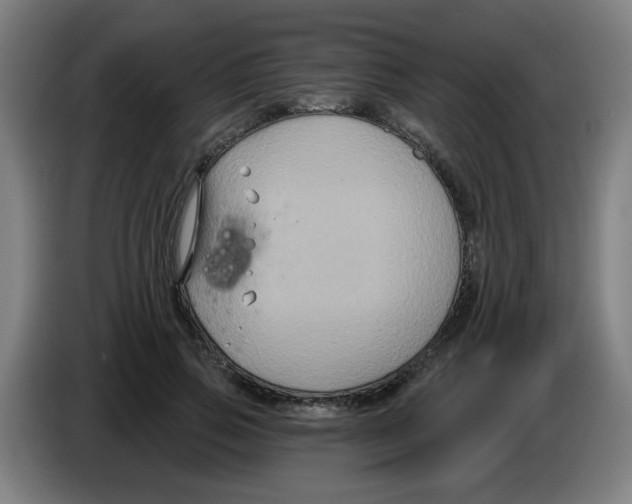 X0000086220741200704261836