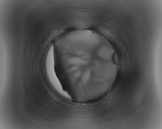 X0000086220742200704261836